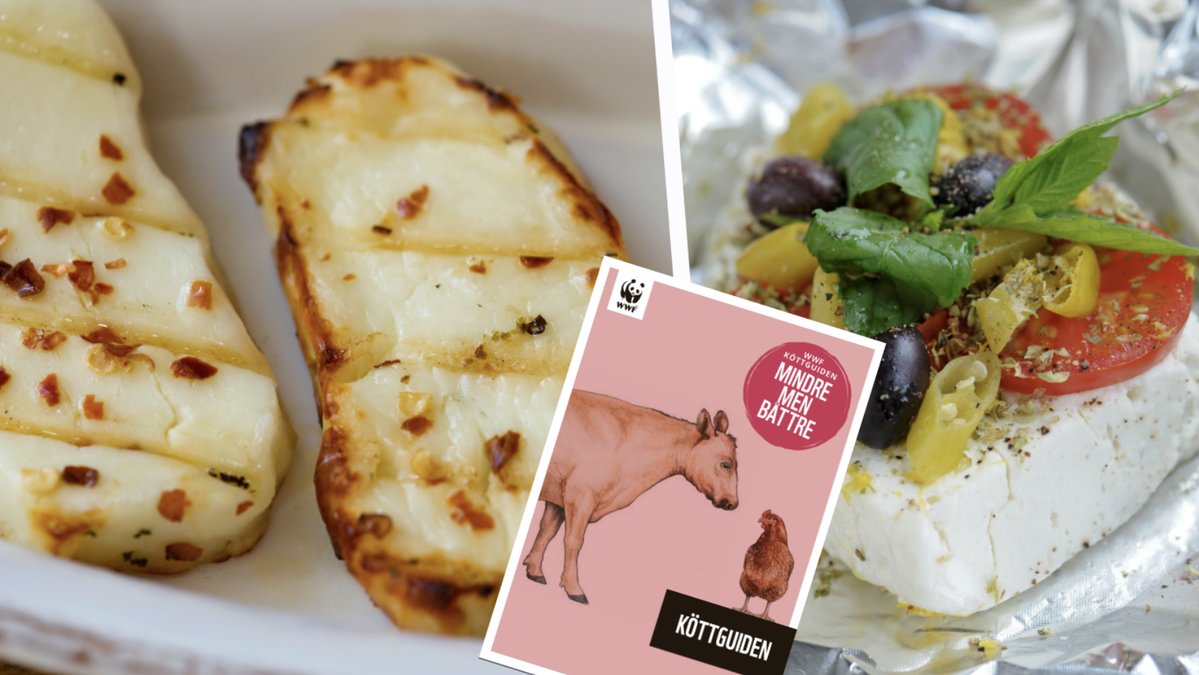 Konventionellt tillverkad italiensk mozzarella, grekisk feta och cypriotisk halloumi får rött ljus i WWFs nya köttguide.